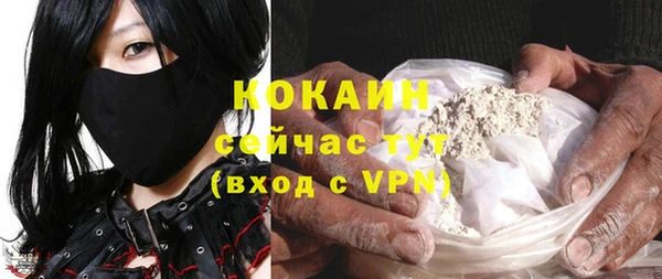 прущие крисы Алексеевка
